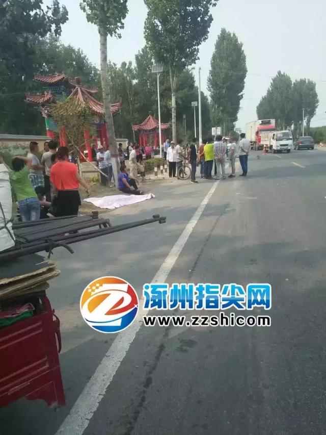 涿州司機最新招聘，成功應聘司機職位的詳細步驟指南