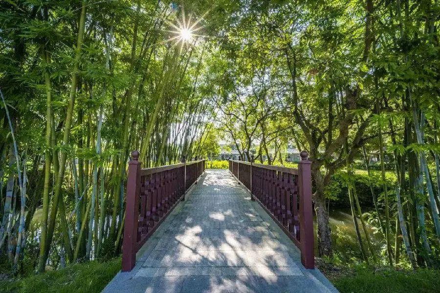 廣東銅每日最新價格動態(tài)