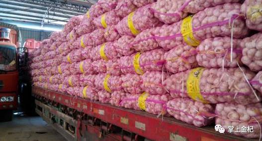 咨詢我們 第478頁