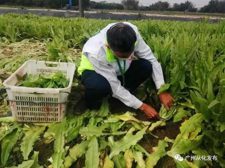 100%最準(zhǔn)的一肖,科學(xué)分析解釋說明_跨界版56.398