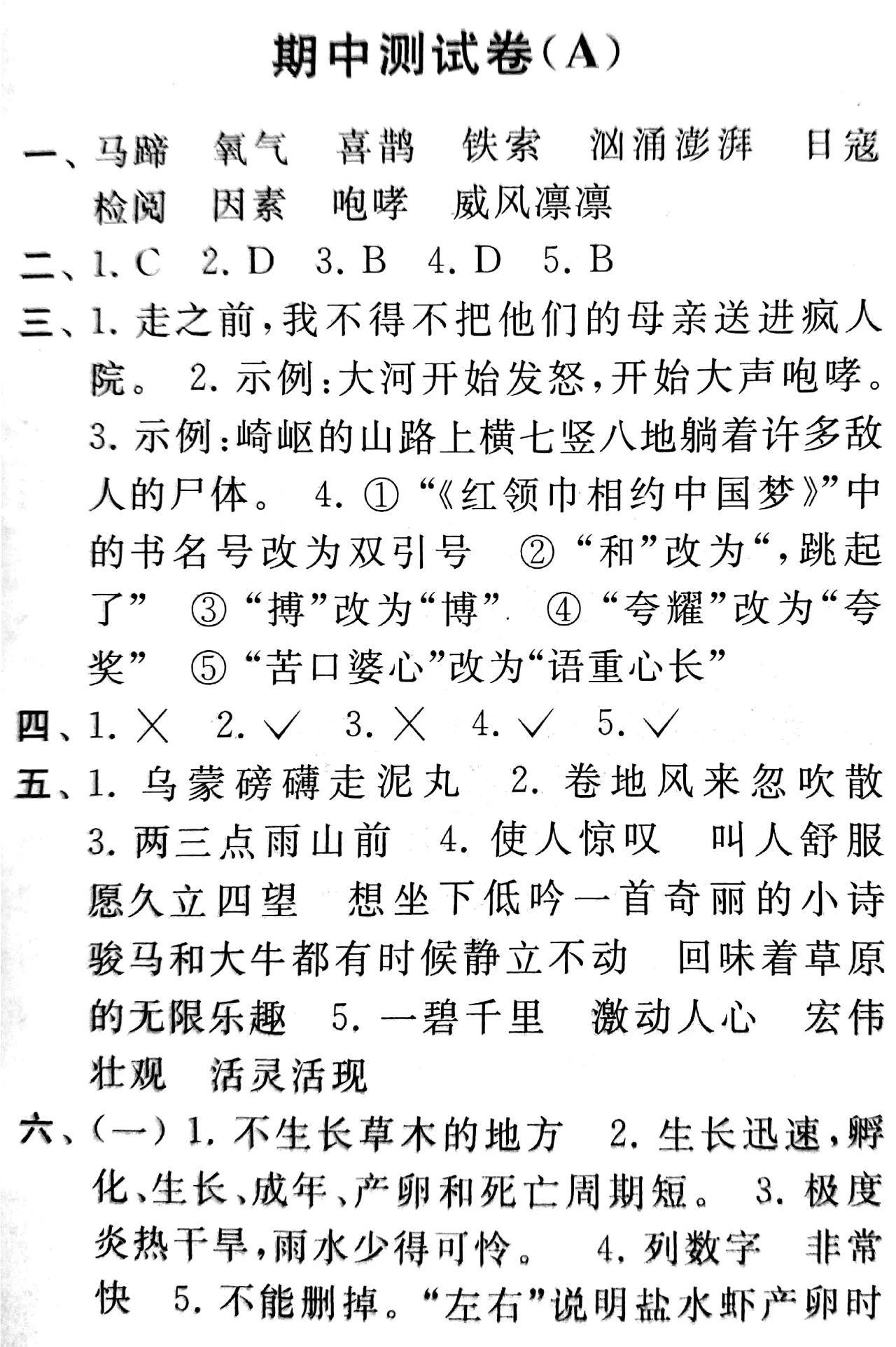 最新AB卷六年級下冊學(xué)習(xí)資源探索與應(yīng)用指南